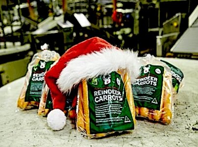 reindeer-carrots-resized-for-web.jpg