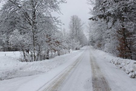 snow.jpg