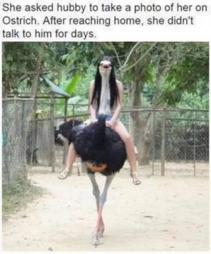 ostritch.jpg