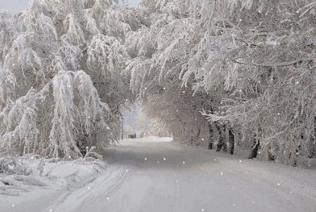 6f98f3d1835d86a8d7062d3778744506.gif