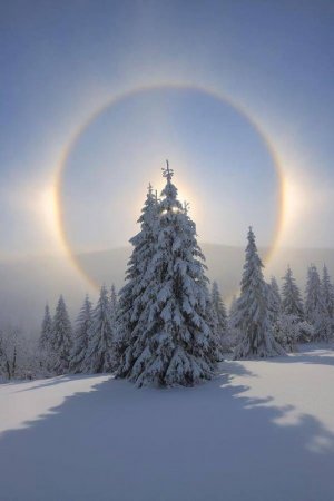 winter2016rainbow.jpg