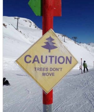 Winter funnies 95.jpg