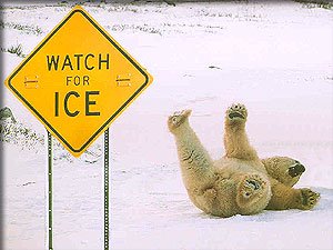 winter funnies 28.jpg