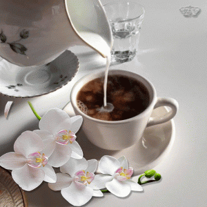 2fac74e431e1f0304582f3ed38425768[1].gif