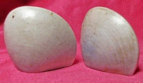 clams1a.jpg