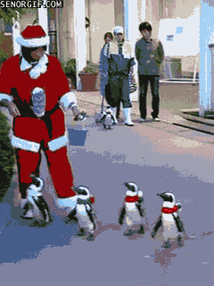 christmas-penguin-parade.gif