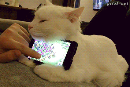 feca83a6a0c204bcc6e46d63f07a868a.gif
