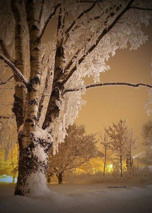 winter201613.jpg
