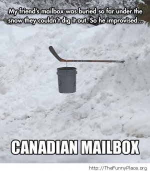 winter funnies 10.jpg