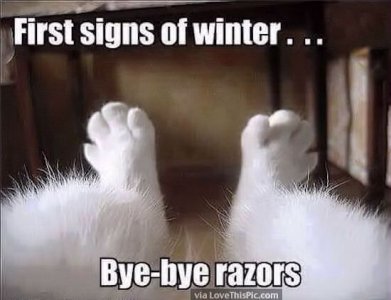 winter funnies 16.jpg