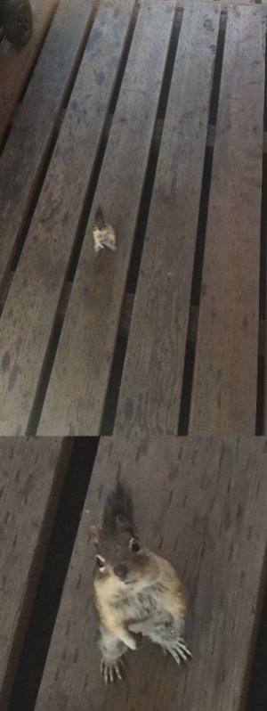 nuts for breakfast.jpg