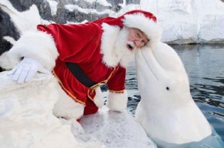 wintersanta2016.jpg