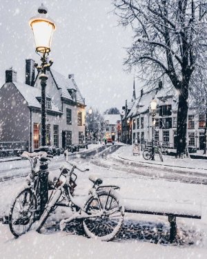 2256137d21d48f9c85184d4789ba176b[1].jpg