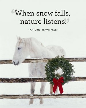 8265b73fc126f79ff8f977660dd09293[1].jpg
