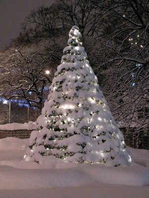 7ddd536ef5f580c03991e70928d57525[1].jpg