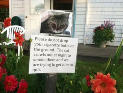 These-Must-Be-The-Most-Hilarious-Yard-Signs-To-Have-Ever-Existed.jpg