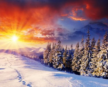 sunnywinter.jpg