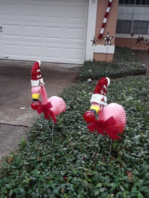 20201207_135542.jpg