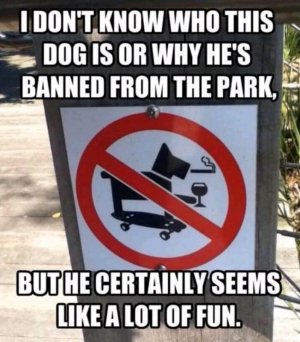 FB_IMG_16073499487169857.jpg