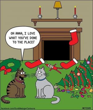 catxmas.jpg