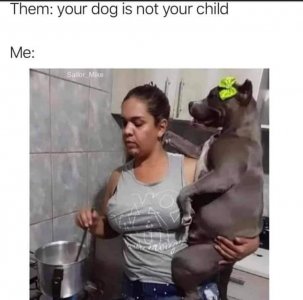 dognotchild.jpg