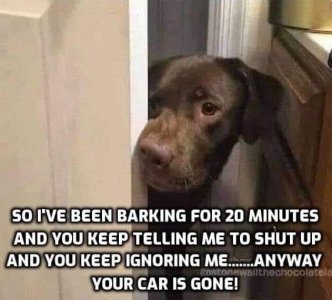 F746D9CF-C68E-4440-9E8E-178064E772BD.jpeg