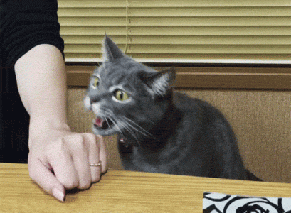 tumblr_nznnqran9k1t1a2eqo1_500.gif