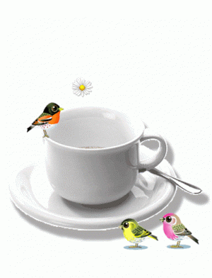 ecce470050a041a91c215cdfe3699b63[1].gif