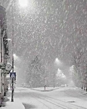 e56f3cbf7e577239cbeee79f72918034[1].jpg