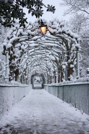 d375beb1b2e3f59dc0171ae6424371f9[1].jpg