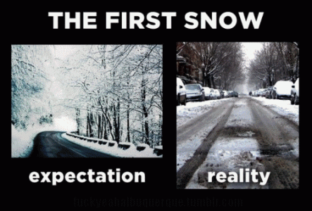 expectation.gif