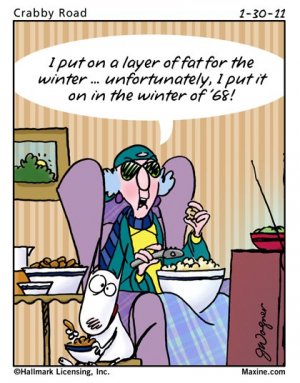 winter funnies 18.jpg