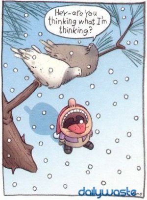 xmas funny 12.jpg