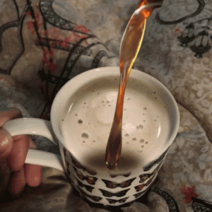 tenor-2.gif