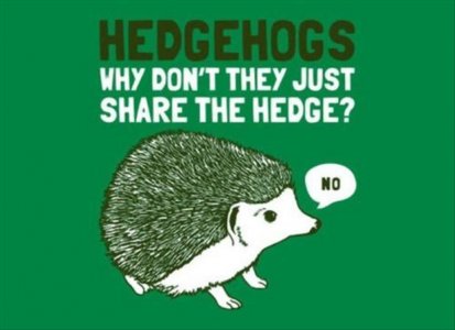 funny-puns-hedgehogs.jpg