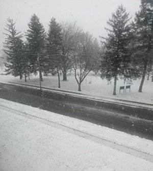 IMG_20201209_094328.jpg