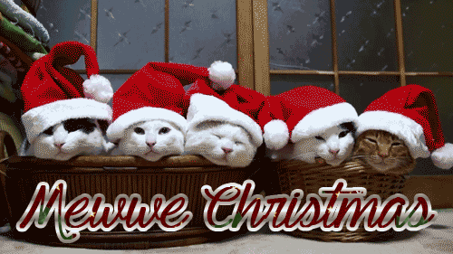mewy-christmas-santa-cats-animated-gif[1].gif