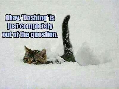 winter funnies 19.jpg