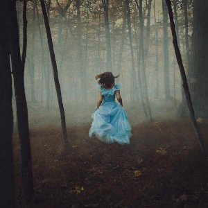 autumn morn follow.jpg