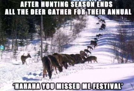 FB_IMG_16075608071038806.jpg