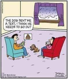 dogtext.jpg