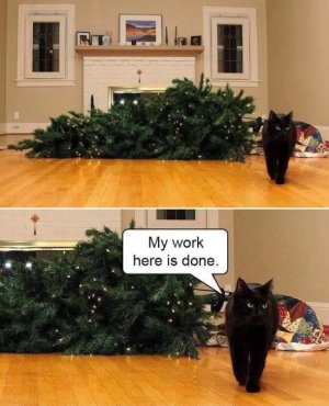 catxmastree.jpg