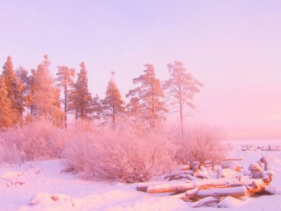 Winter__040434_29.jpg