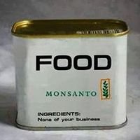 Monsanto.jpg