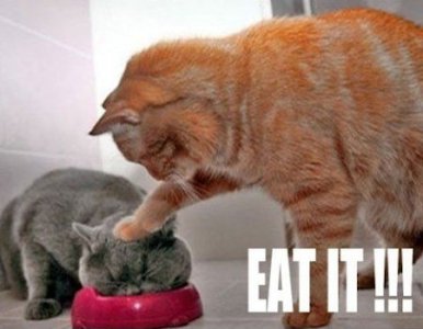 Feeding @.jpg