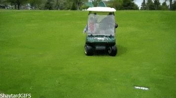 200.gif