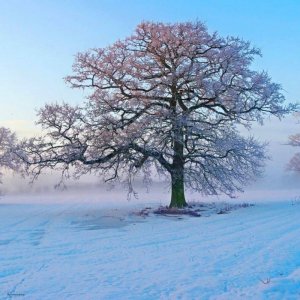 winter201622.jpg