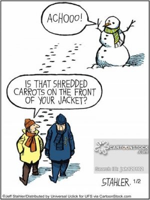 winter funnies 32.jpg