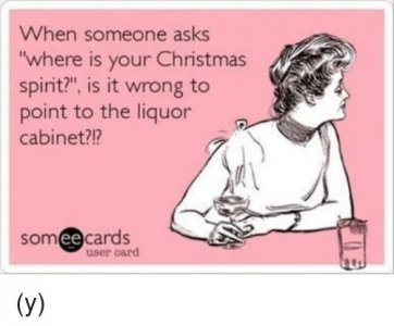 xmas funny 101.jpg