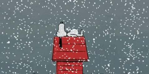 giphy[1].gif
